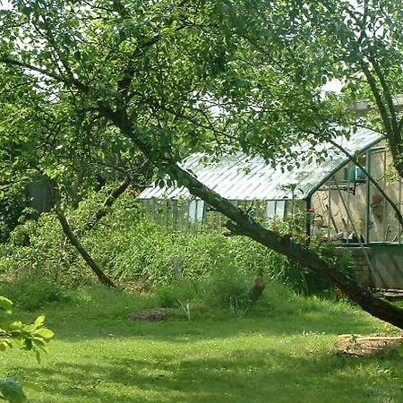 Chambres D'Hotes Le Pont Romain Montfort-le-Gesnois Luaran gambar